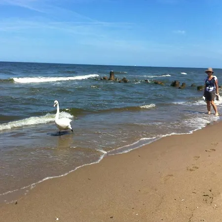 Beautiful 100 Meters From The Beach Niechorze