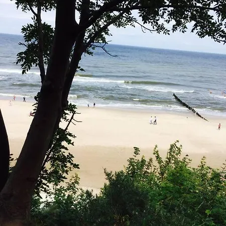 Beautiful 100 Meters From The Beach