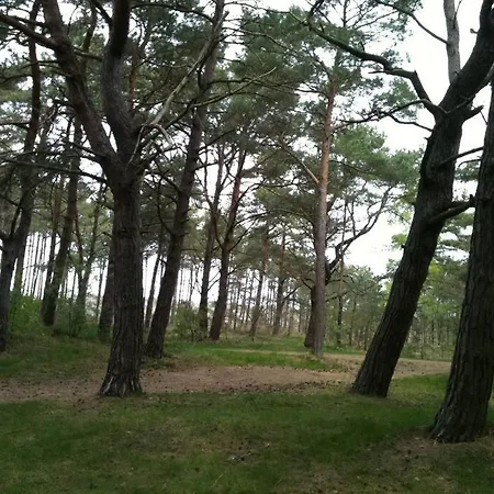 Apartment Beautiful 100 Meters From The Beach *